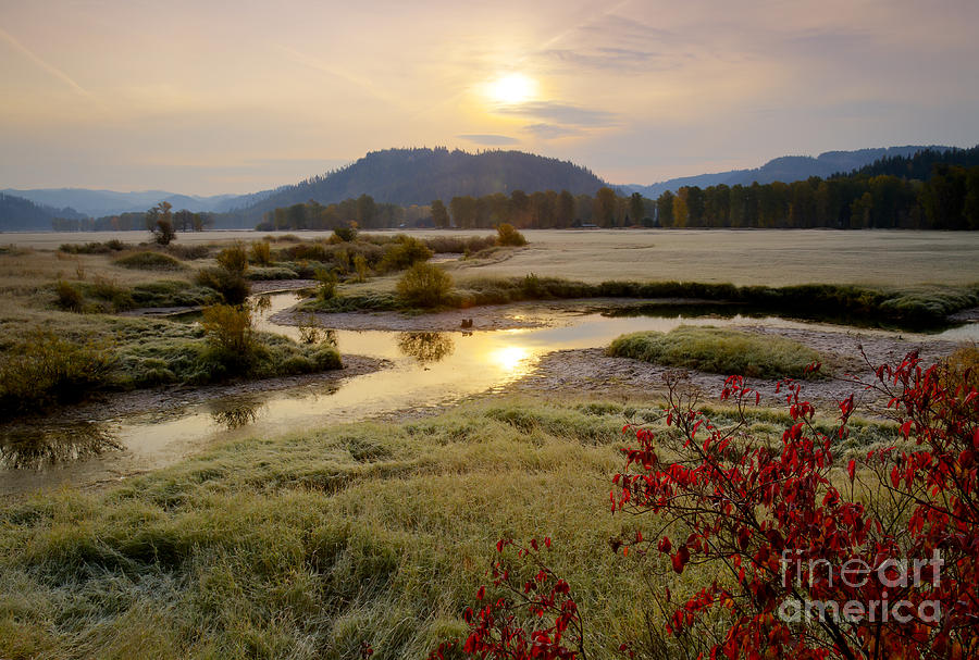Nature Photograph - St. Joe River Valley by Idaho Scenic Images Linda Lantzy