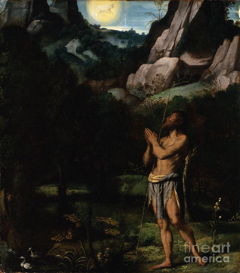 St John The Baptist In The Wilderness Painting By Celestial Images