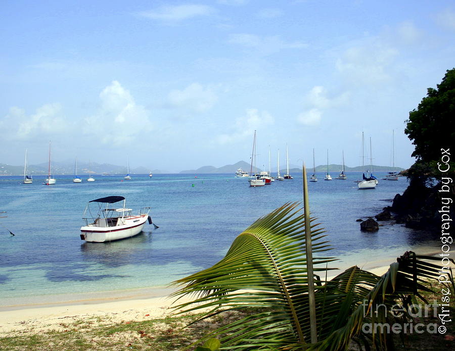 sailboats for sale st john usvi