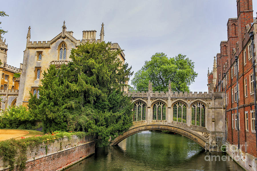 St Johns college and the Bridge of sighs in Cambridge university Photograph by Patricia Hofmeester