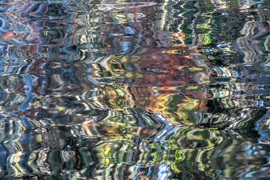 St. Johns reflection VI Photograph by Stacey Sather