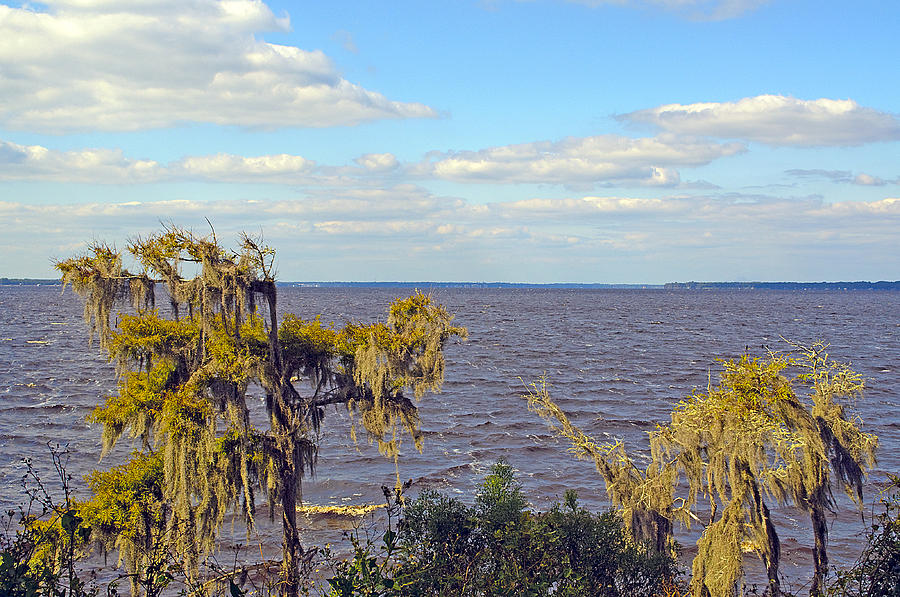 St. Johns River Meets The Ocean Photograph by Kenneth Albin