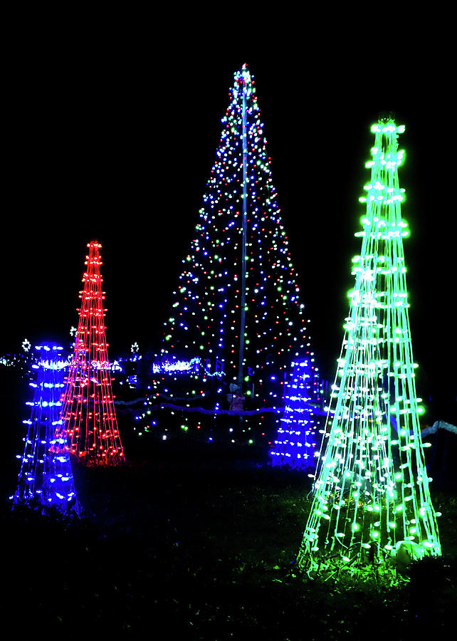 St Louis Botanical Gardens Christmas Lights Study 4 Photograph by Robert Meyers-Lussier