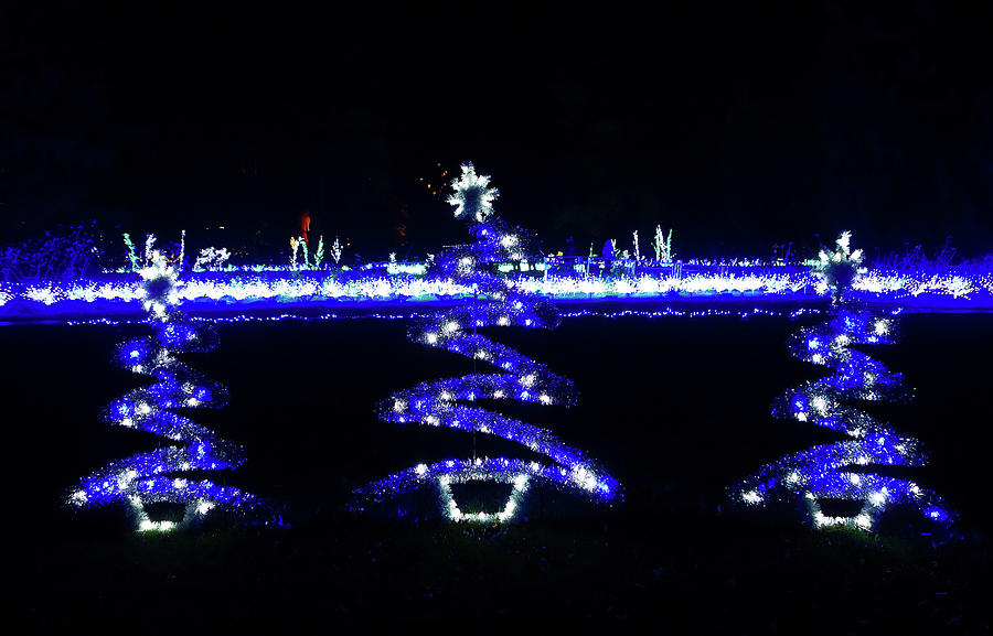 St Louis Botanical Gardens Christmas Lights Study 5 Photograph by Robert Meyers-Lussier
