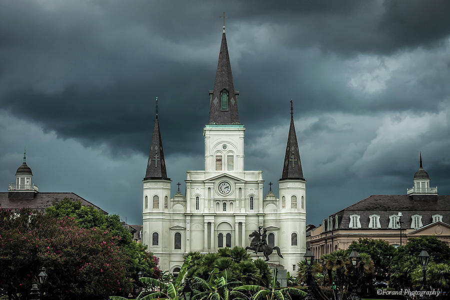 St. Louis Cathedral  Photograph by Debra Forand
