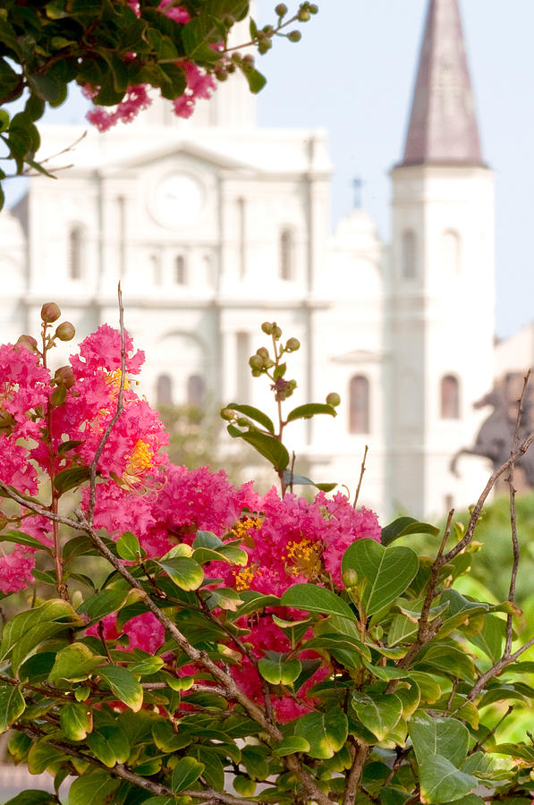 New Orleans Photograph - St. Louis Cathedral Jackson Square New Orleans by Deborah Squires