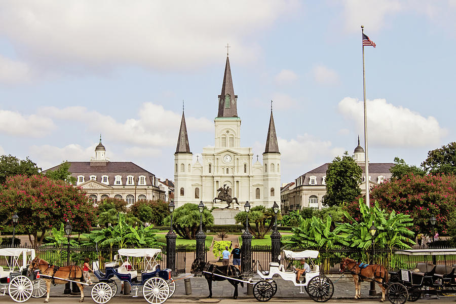New Orleans Photograph - St. Louis Cathedral by Scott Pellegrin