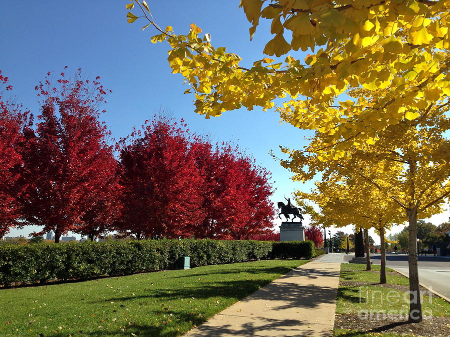 St Louis Framed In Yellow And Red Photograph by Debbie Fenelon - Fine ...