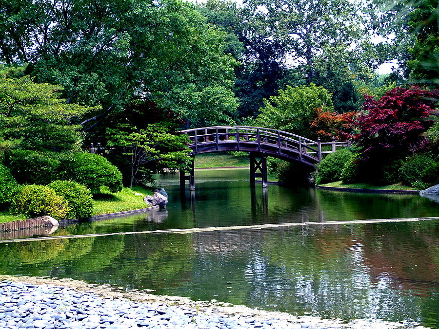 St Louis Gardens Photograph by Mark Grayden - Fine Art America