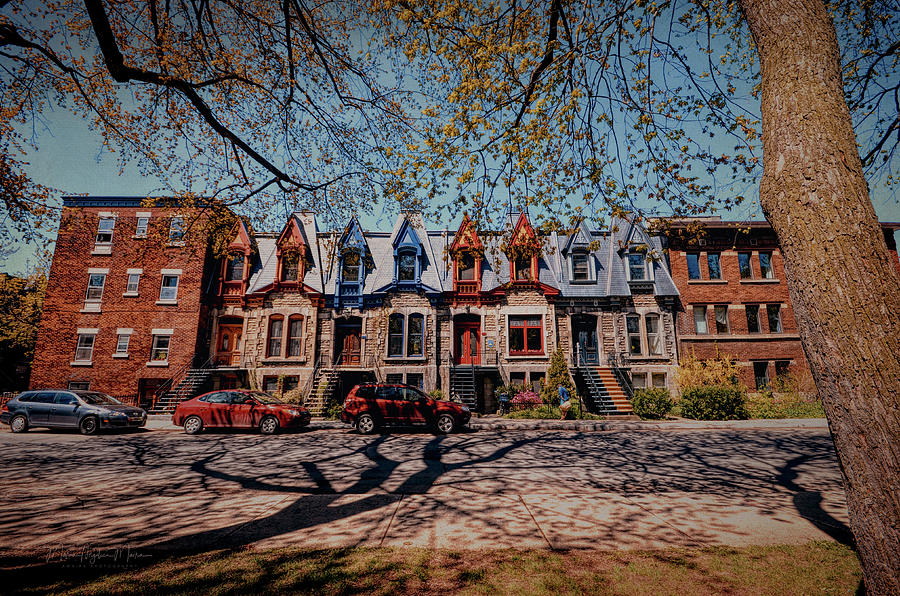 St. Louis Row Houses - Montreal Photograph by Maria Angelica Maira