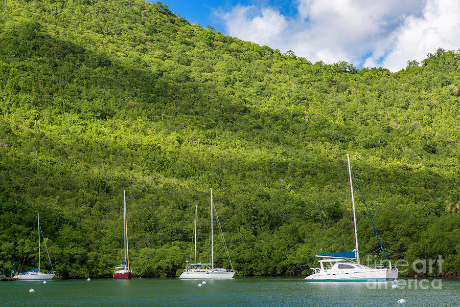 St Lucia Boats Photograph by Brian Jannsen