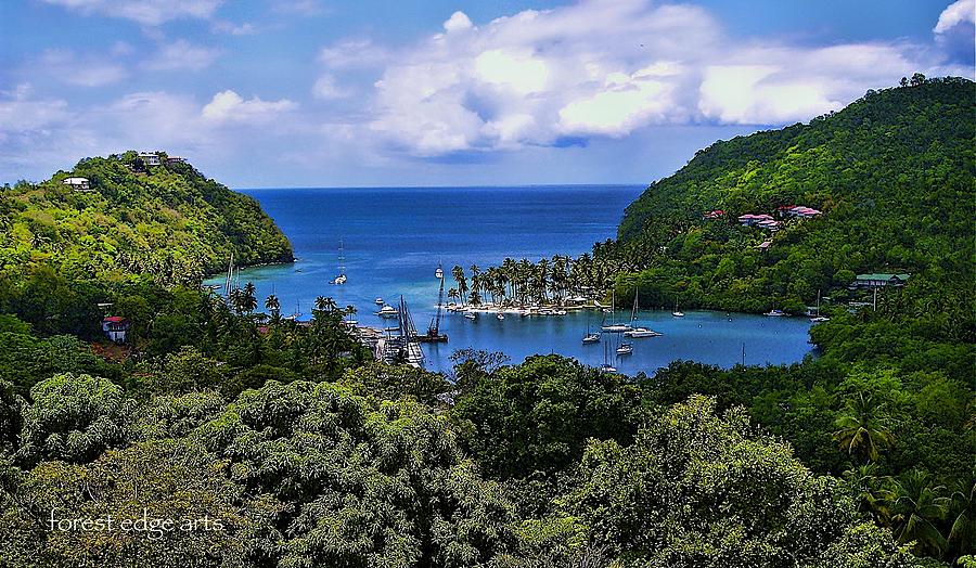 St. Lucia Photograph by Dick Bourgault