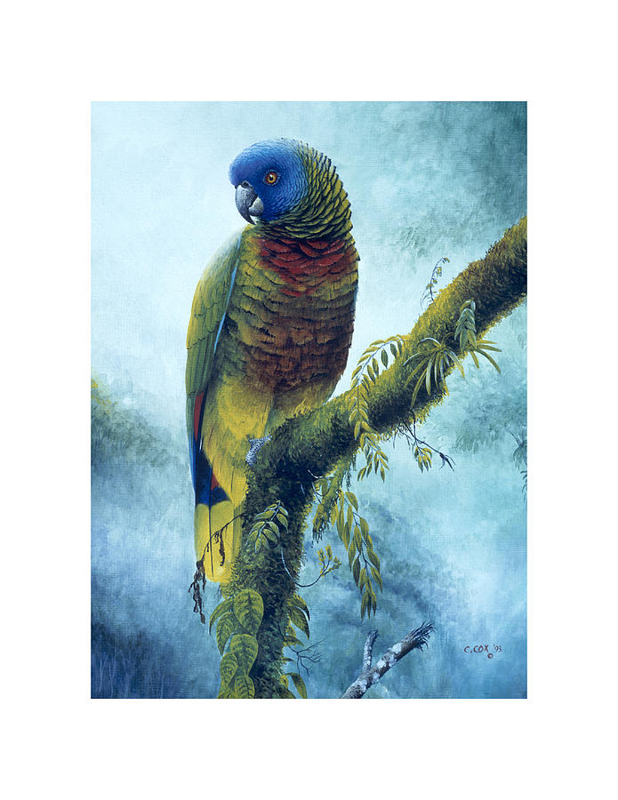 St. Lucia Parrot - Majestic Painting by Christopher Cox
