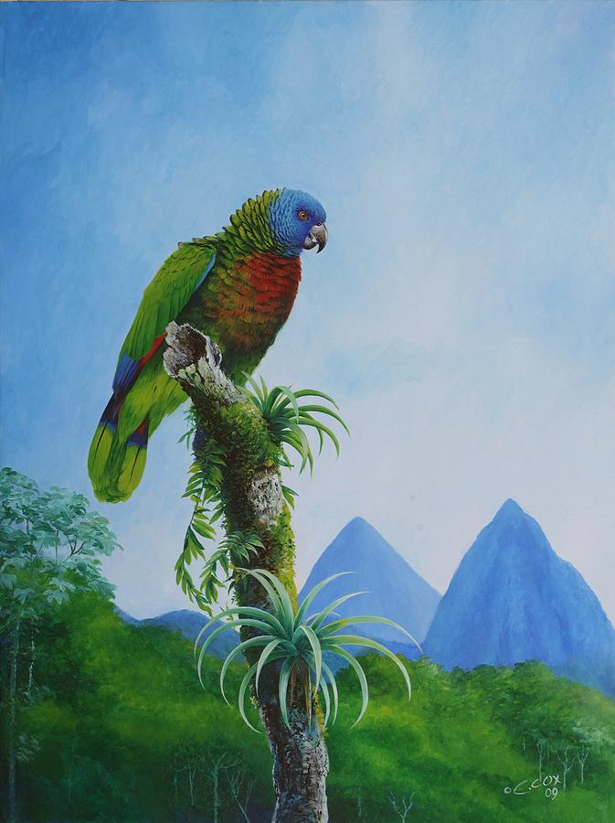 Parrot Painting - St. Lucia Parrot and Pitons by Christopher Cox