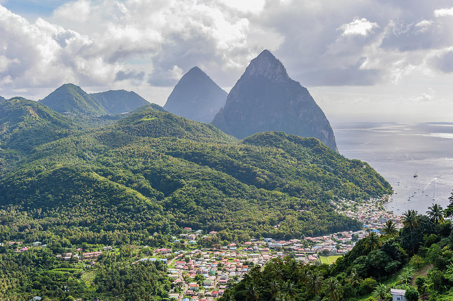 ST Lucia Piton Photograph by Charles McCleanon