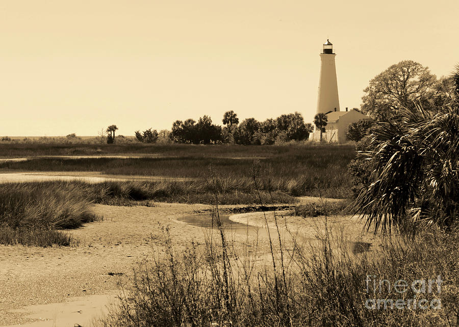 St Marks Lighthouse with Marsh in Sepia.jpg Photograph by Carol Groenen