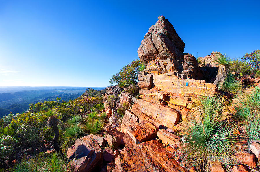 St Mary Peak Wilpena Pound Photograph by Bill  Robinson