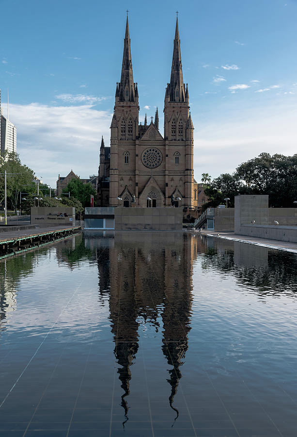 St Marys Cathedral Photograph by Steven Richman