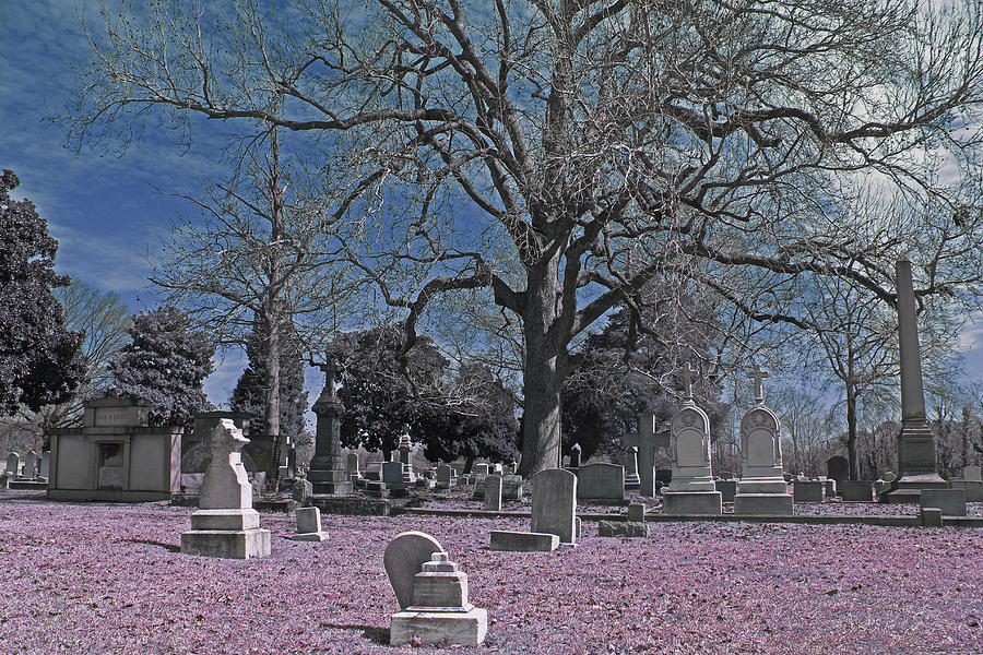 St. Mary's Catholic Cemetery Photograph by Jennifer Stafford - Fine Art ...