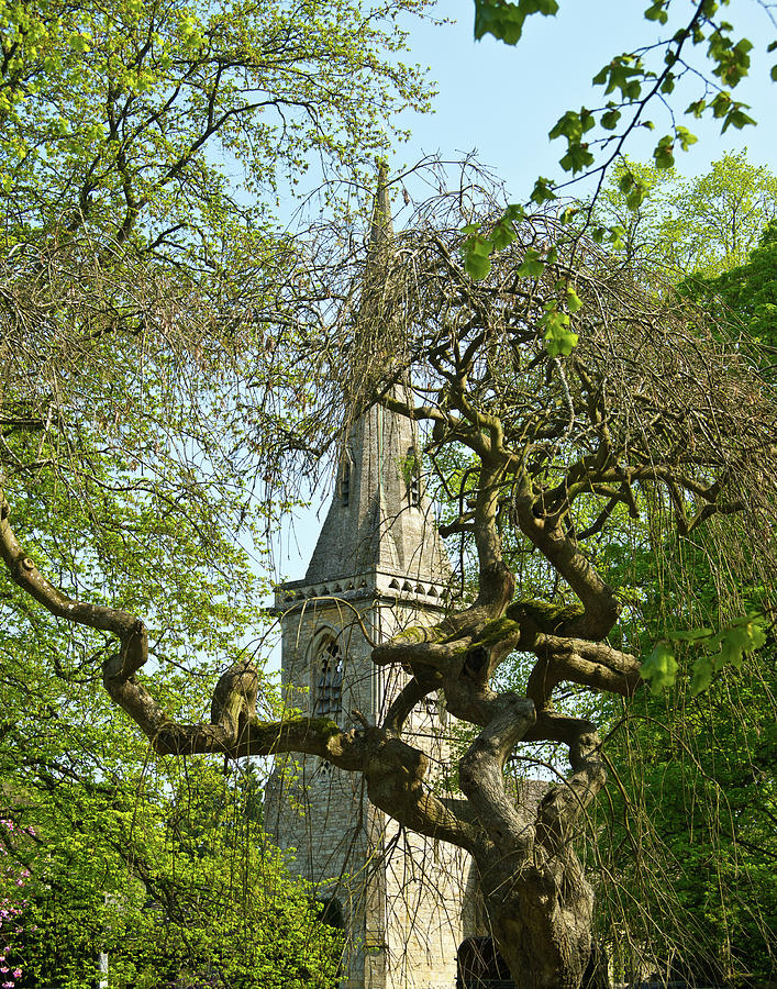 St Marys Church Through the Trees Photograph by Douglas Barnett