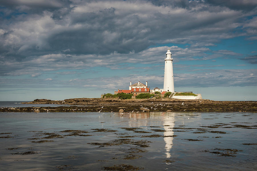 St Marys Lighthouse Photograph by Gary Eason
