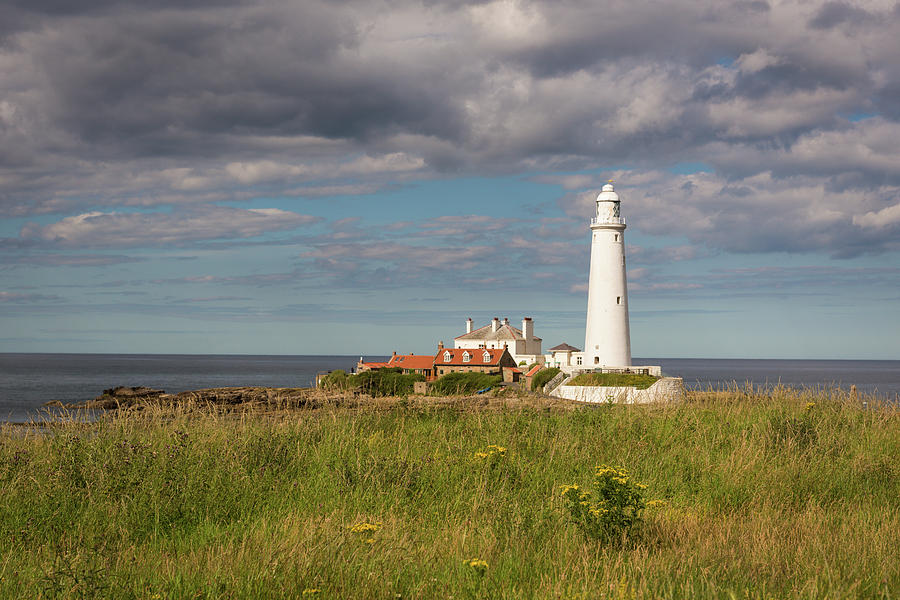 St Marys Lighthouse headland Photograph by Gary Eason