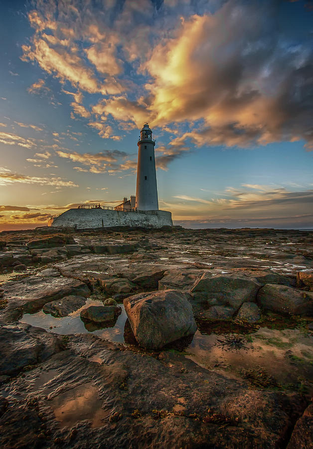 St Marys Lighthouse Photograph by Jon Rackham | Fine Art America