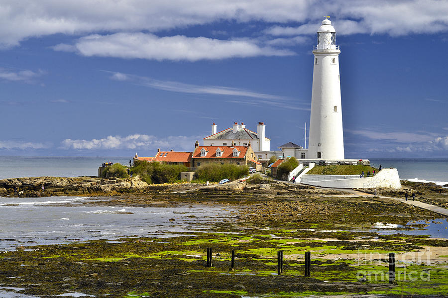 St. Marys Lighthouse Whitley Bay Photograph by Martyn Arnold
