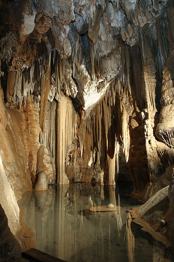 visit st michael's cave gibraltar