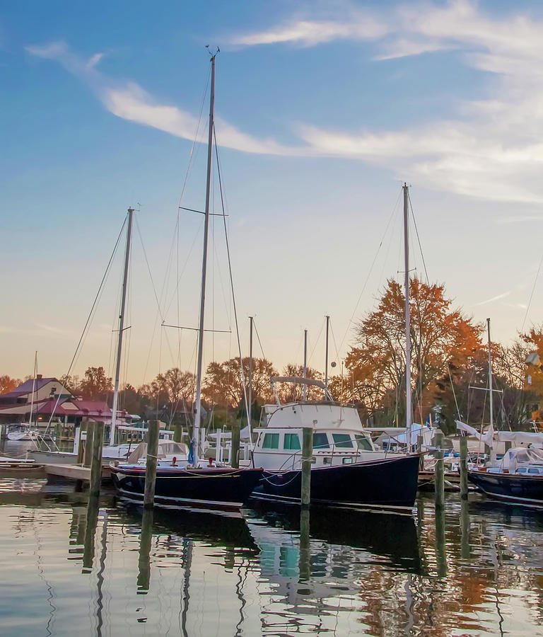 St Michaels Maryland Marina Photograph by Bill Cannon