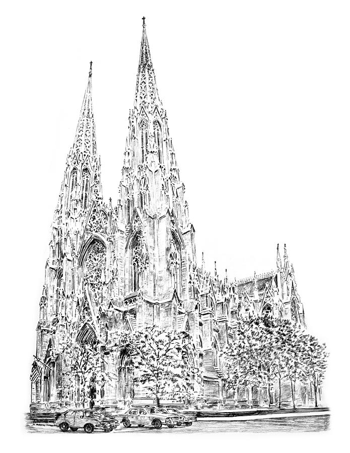 Tree Drawing - St Patricks Cathedral by Anthony Butera