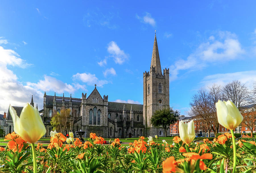 St. Patrick's Cathedral spring Photograph by Eben Gourley - Fine Art ...