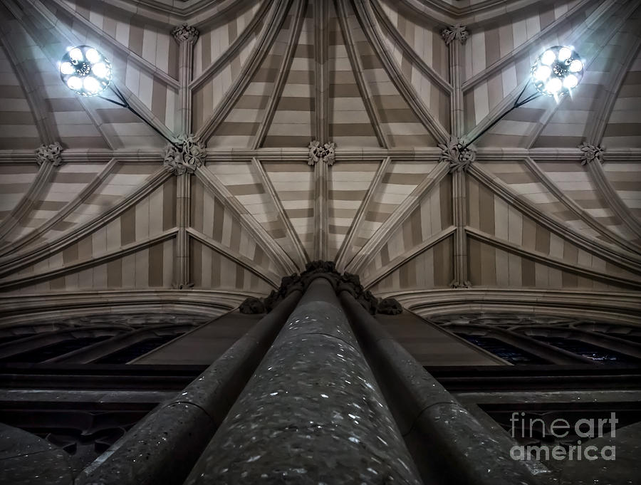 St. Patricks Cathedral Vault Photograph by James Aiken