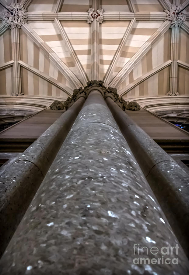 St. Patricks Cathedral Vaulting Photograph by James Aiken