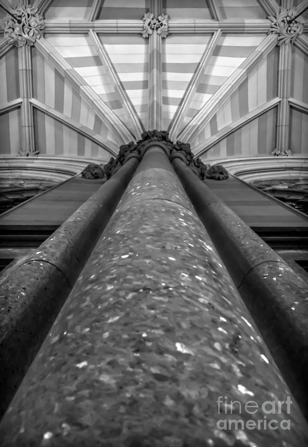 St. Patricks Cathedral Vaulting - Vertical Photograph by James Aiken