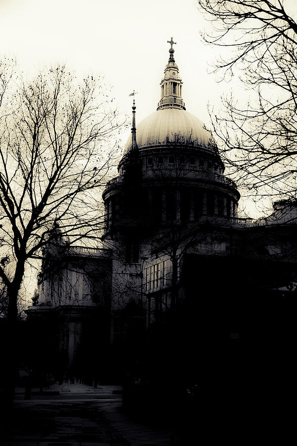 St Pauls Cathedral - in partial silhouette Photograph by Christopher Maxum
