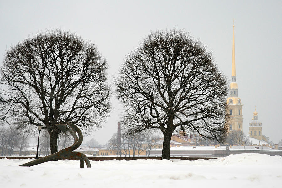 St. Petersburg - Winter Photograph by Masha Batkova