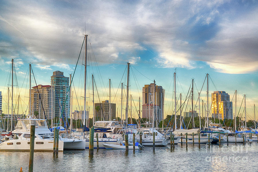 Tampa Photograph - St Petersburg Marina by Paul Quinn