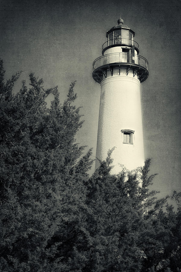St Simons Lighthouse Morning II Photograph by Joan Carroll