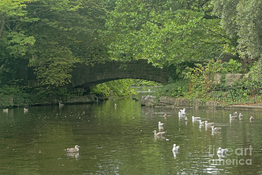 St. Stephens Green Bridge in Dublin Photograph by Natural Focal Point Photography