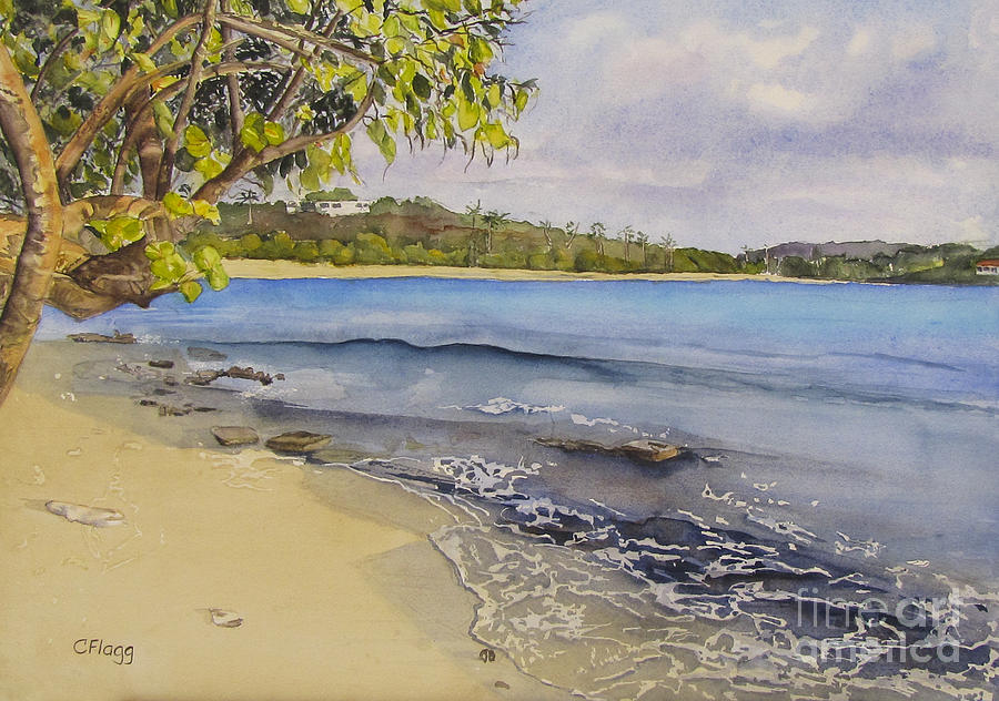 St Thomas Beach Painting by Carol Flagg