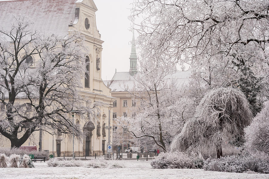 St Tomas Church and Dominican Square. Lacy Winter in Brno Photograph by Jenny Rainbow