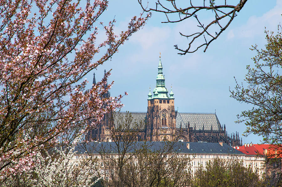 St Vitus Cathedral in Spring Time. Prague Photograph by Jenny Rainbow