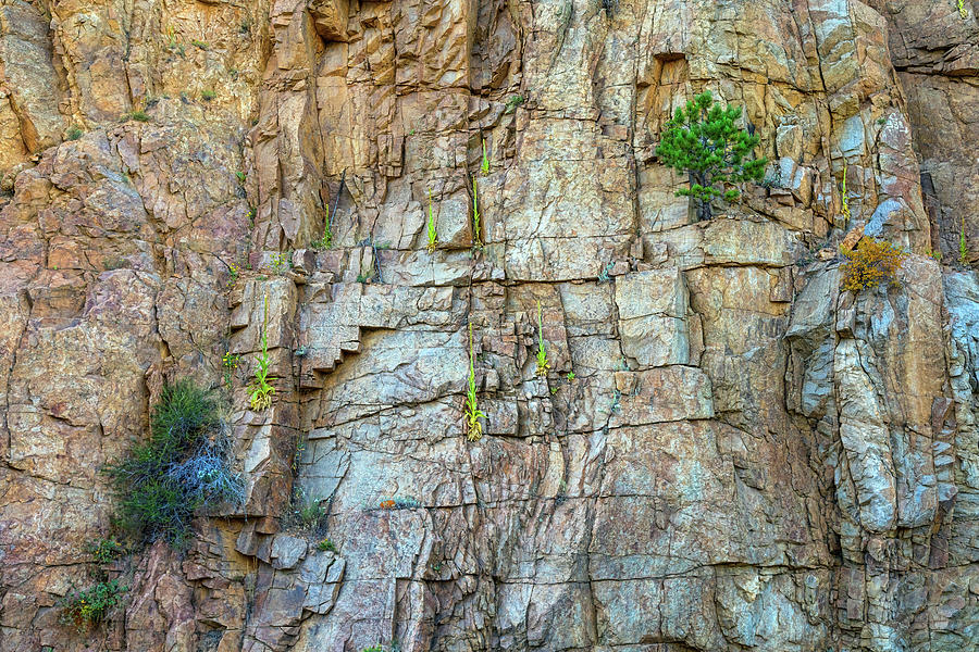 St Vrain Canyon Wall Photograph by James BO Insogna