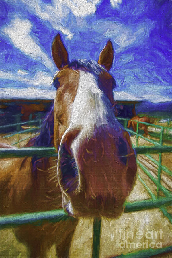 Horse Photograph - Stable Blues by Bitter Buffalo Photography Horse Photograph - Stable Blues by Bitter Buffalo Photography
