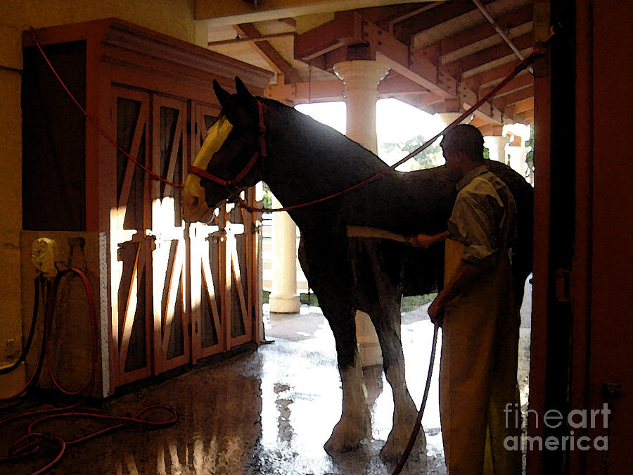 Horse Photograph - Stable Groom - 1 by Linda Shafer