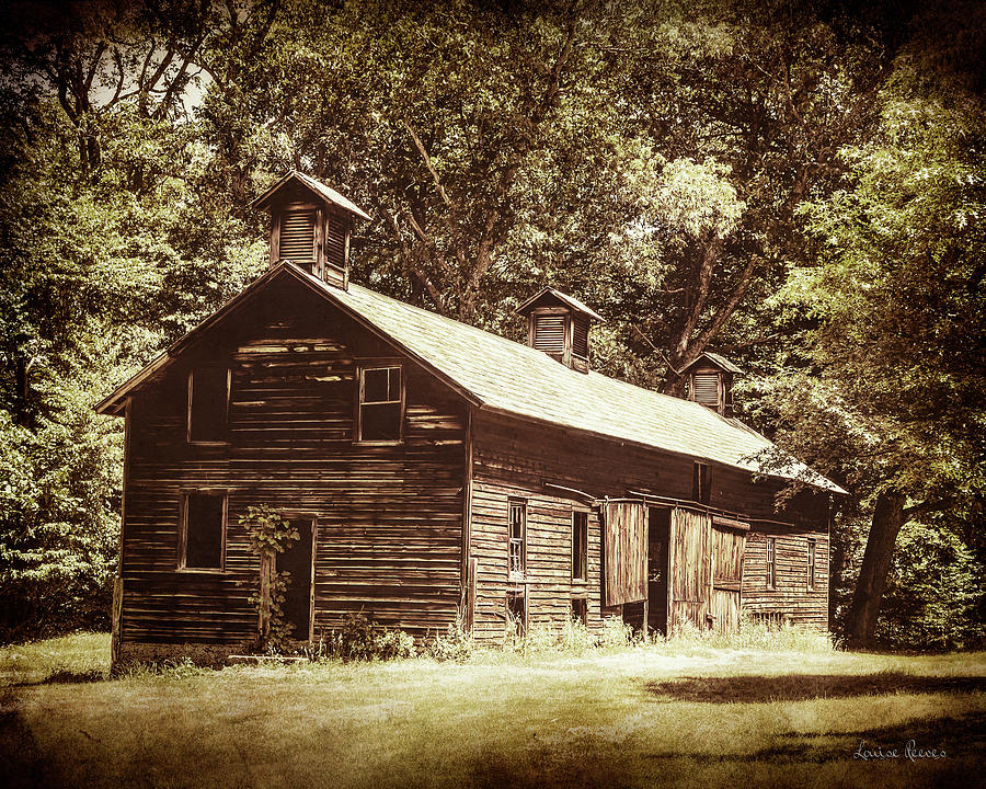 Pig Barn Photograph by Louise Reeves - Fine Art America