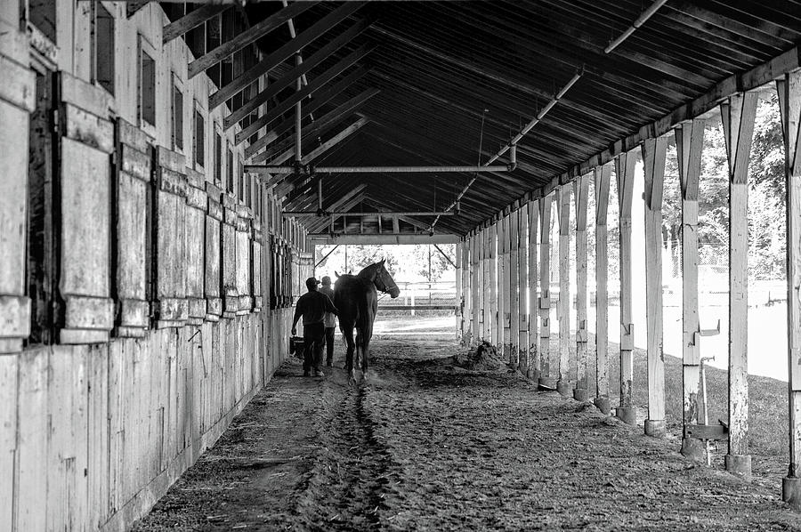 Stable Photograph by Michael Gallitelli