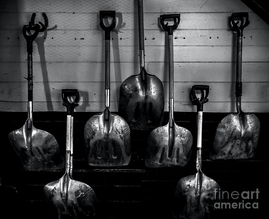 Stable Shovels Photograph by James Aiken