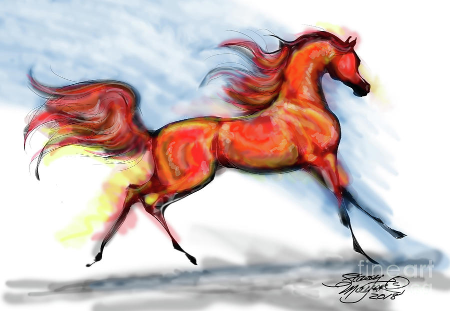 Staceys Arabian Horse Digital Art by Stacey Mayer